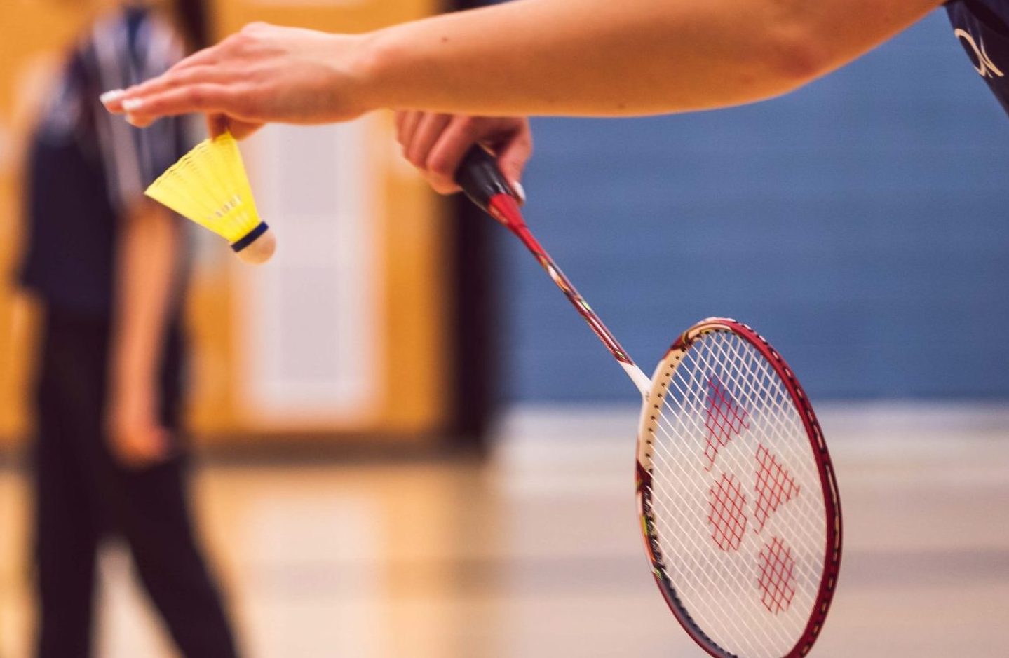 Top 8 Best Shuttlecock For Badminton In 2024 - Badminton Reviews